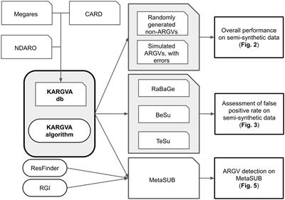 The K-mer antibiotic resistance gene variant analyzer (KARGVA)